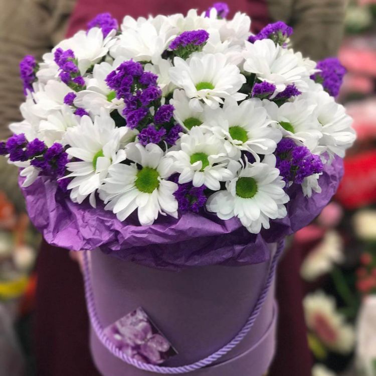 Северное сияние от 8 570 руб.